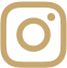Social Icons
