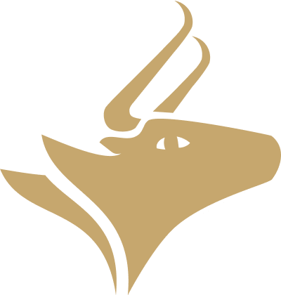 Toro